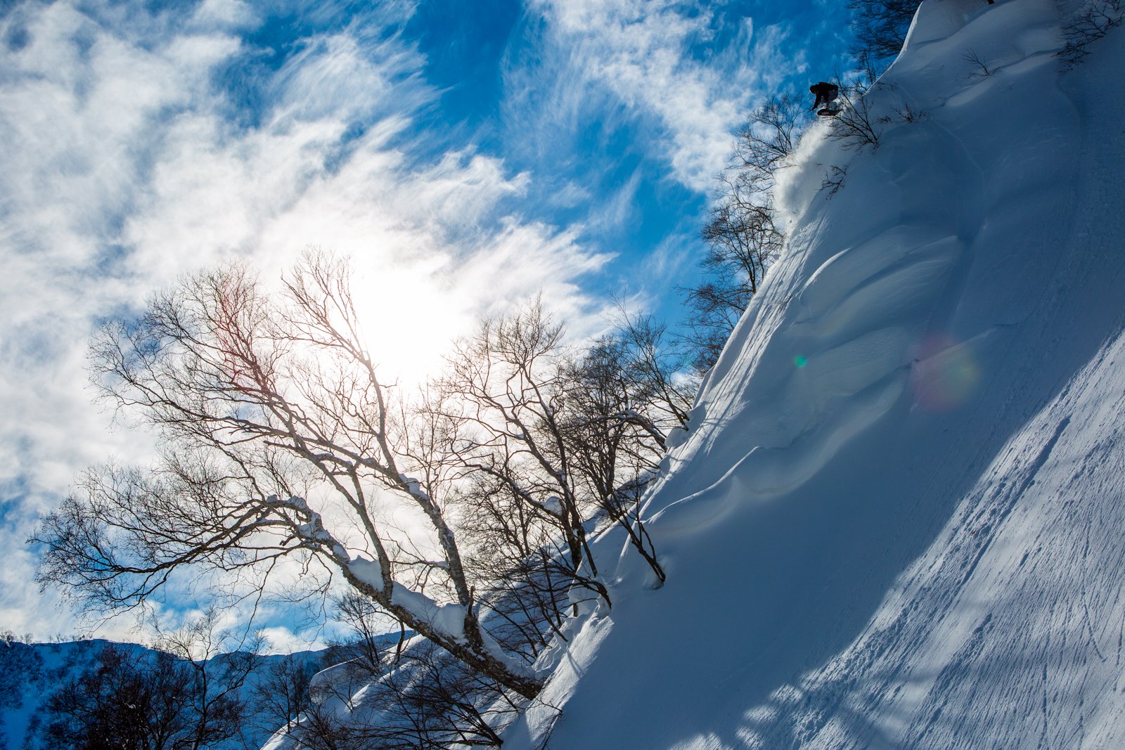 terje_haakonsen2.jpg