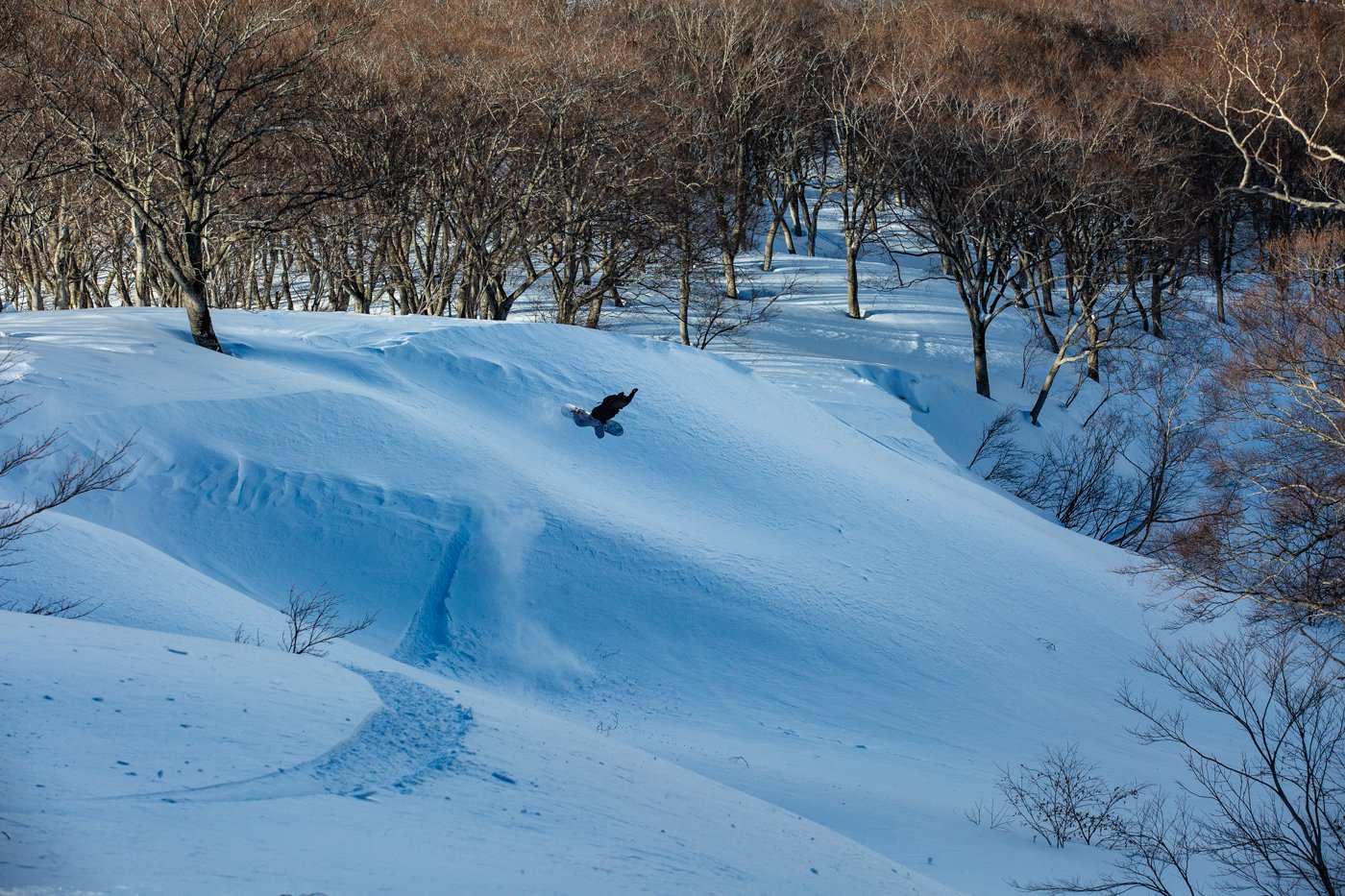 terje_haakonsen3.jpg